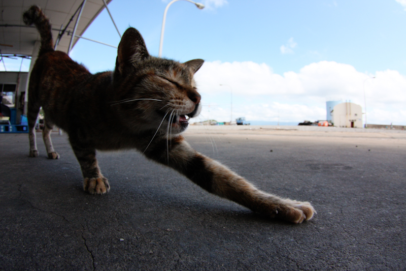 f:id:fubirai:20110515231833j:image