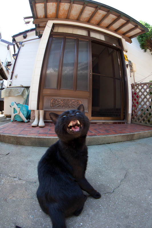 f:id:fubirai:20110913235001j:image