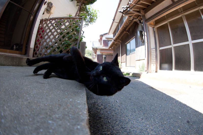 f:id:fubirai:20110913235858j:image