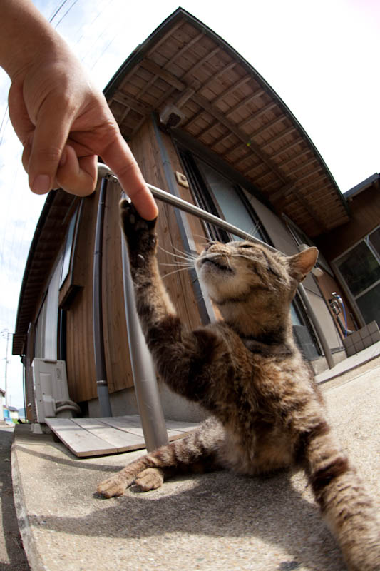 f:id:fubirai:20110916233111j:image