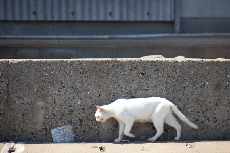 f:id:fubirai:20111106231335j:image