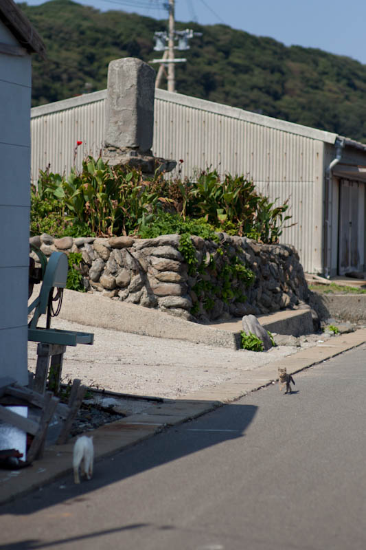 f:id:fubirai:20111106231336j:image