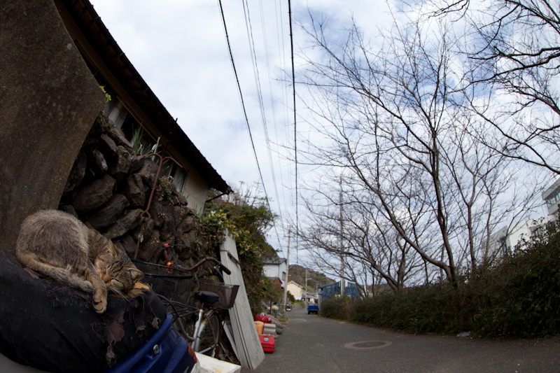 f:id:fubirai:20120201231614j:image