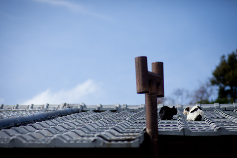 f:id:fubirai:20120311232517j:image