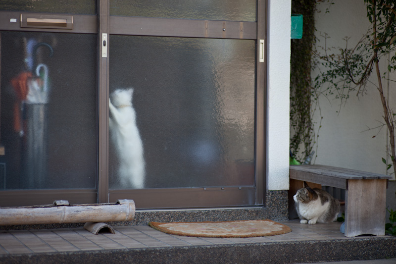f:id:fubirai:20120406212005j:image