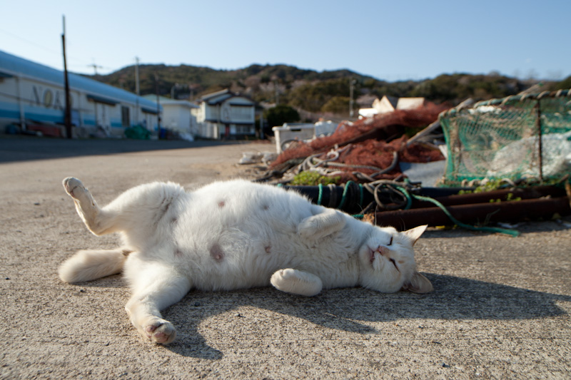 f:id:fubirai:20120414224540j:image