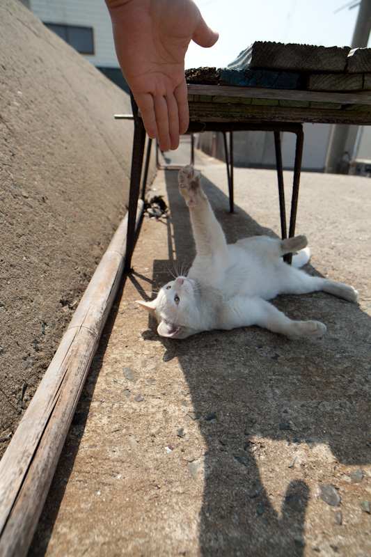f:id:fubirai:20120416223112j:image