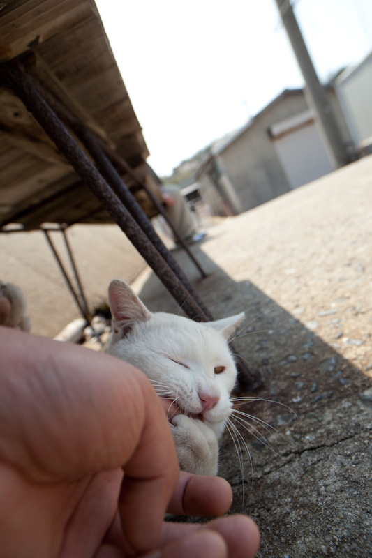 f:id:fubirai:20120416223115j:image