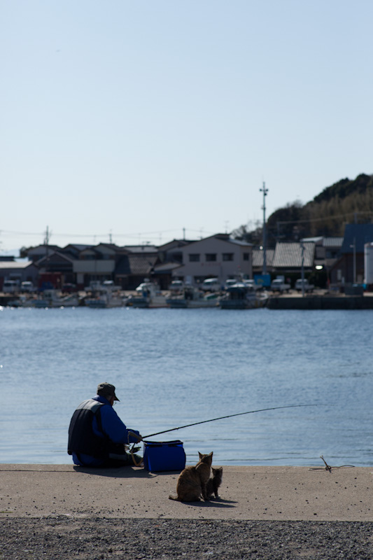 f:id:fubirai:20120418231854j:image