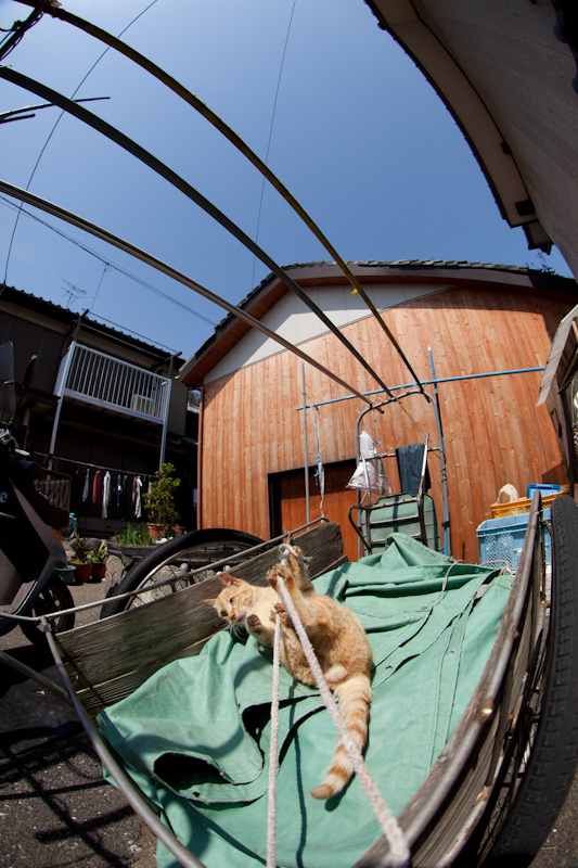 f:id:fubirai:20120418231858j:image