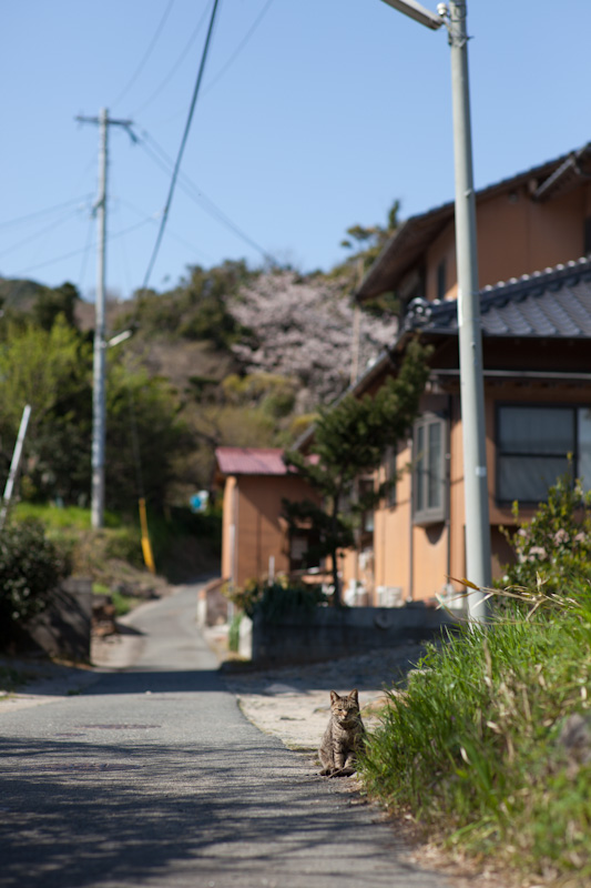 f:id:fubirai:20120514233155j:image
