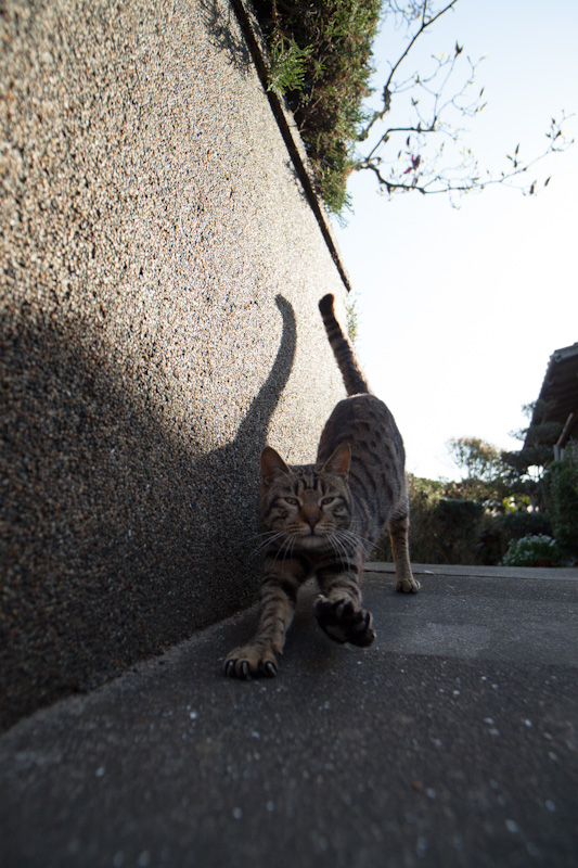 f:id:fubirai:20120514233207j:image