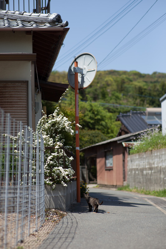 f:id:fubirai:20120514233222j:image