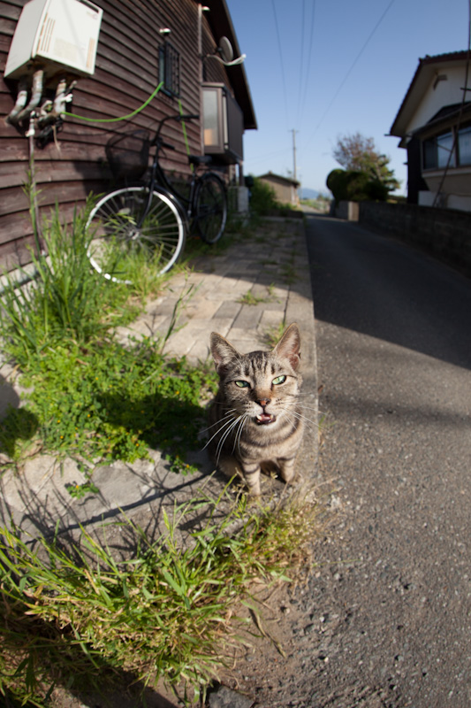 f:id:fubirai:20120514233230j:image