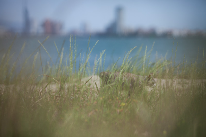 f:id:fubirai:20120514233236j:image