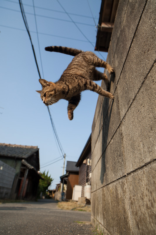 f:id:fubirai:20120514233251j:image