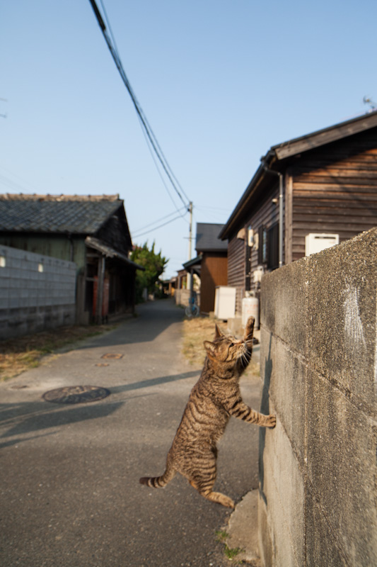 f:id:fubirai:20120514233253j:image