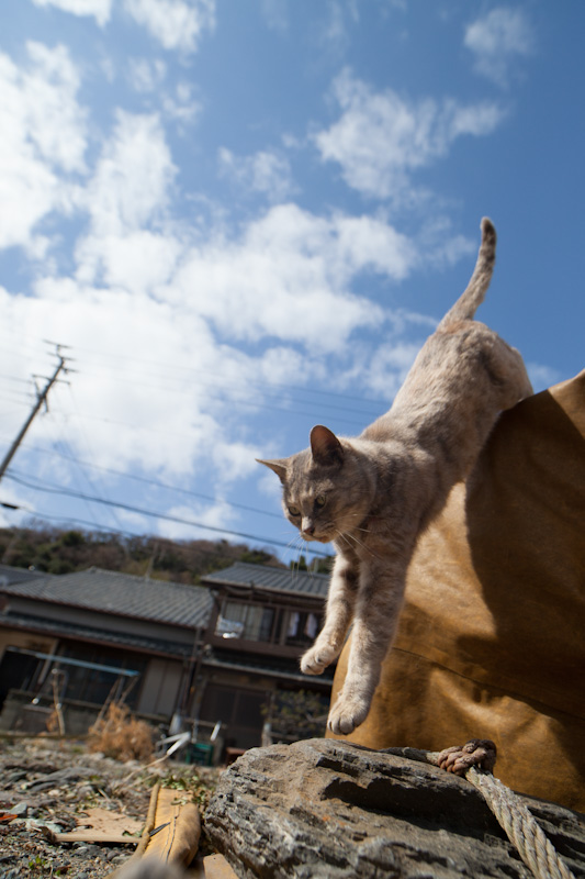 f:id:fubirai:20120623232636j:image
