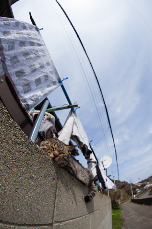 f:id:fubirai:20120623232638j:image
