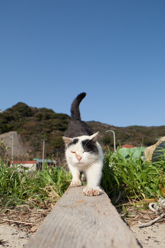 f:id:fubirai:20120703224636j:image