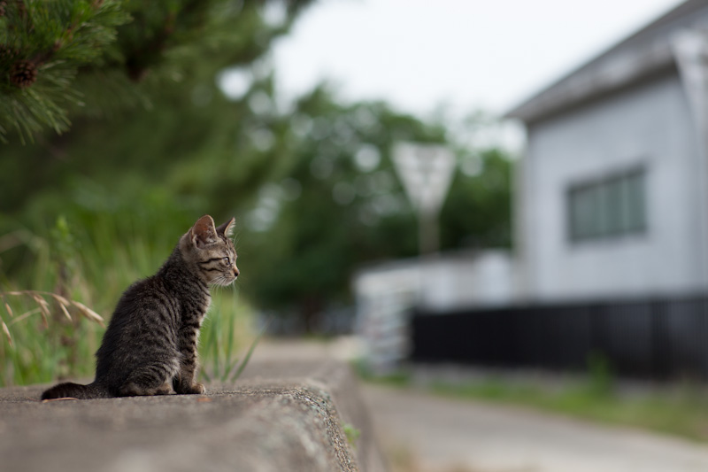f:id:fubirai:20120706153807j:image