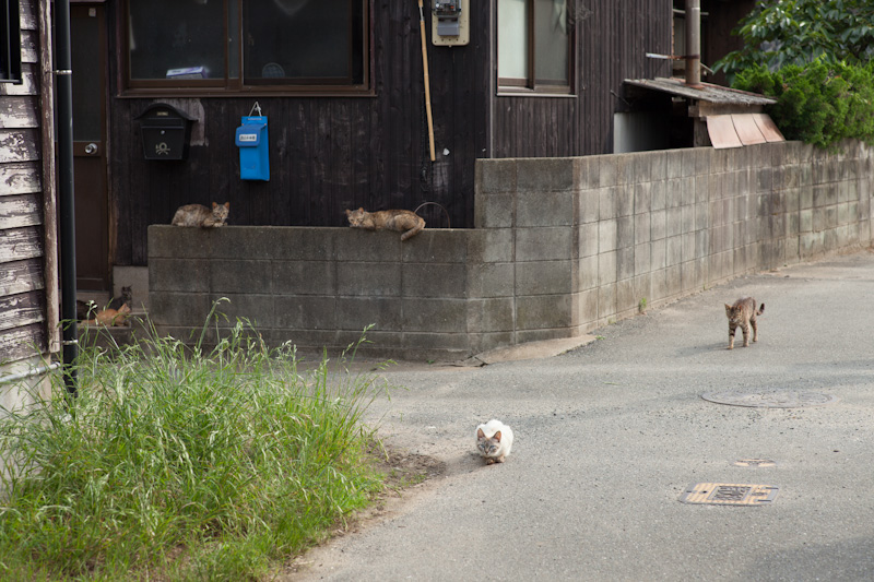 f:id:fubirai:20120706153812j:image