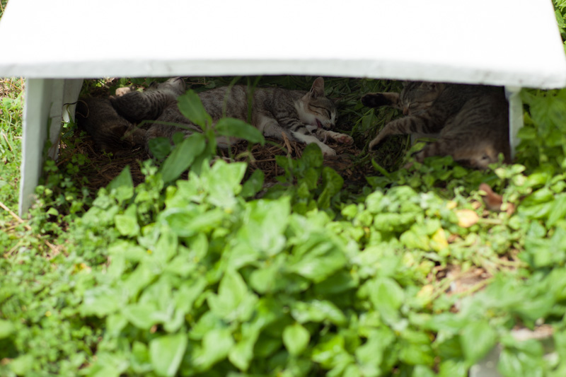 f:id:fubirai:20120706153852j:image