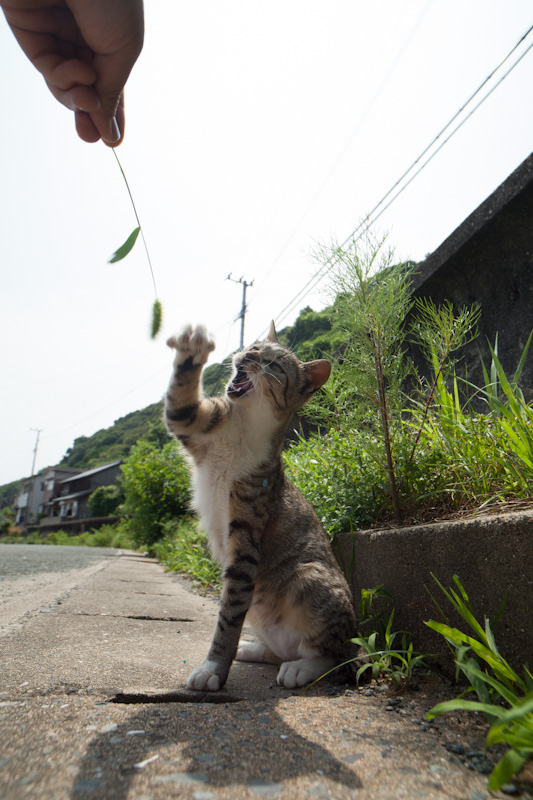 f:id:fubirai:20120706153934j:image