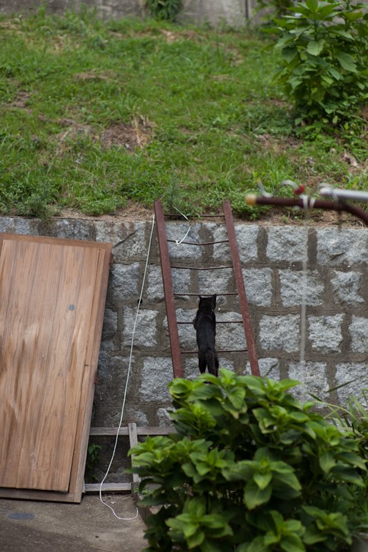 f:id:fubirai:20120824224954j:image