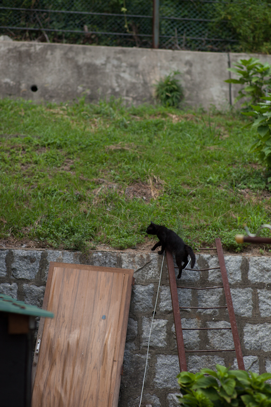 f:id:fubirai:20120824224956j:image