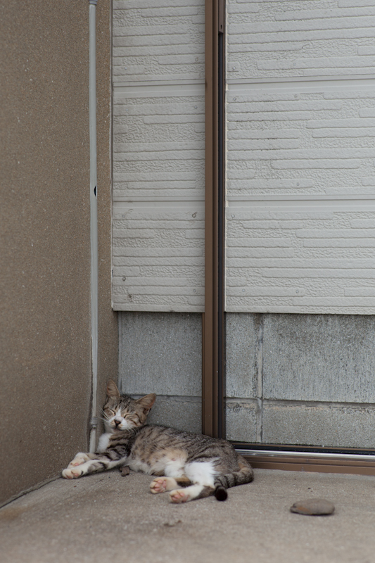 f:id:fubirai:20120824225000j:image