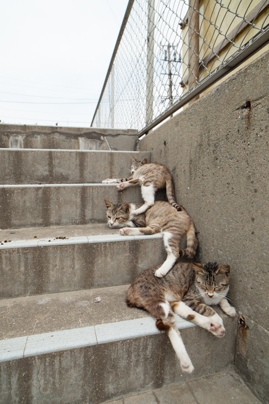 f:id:fubirai:20120824225005j:image