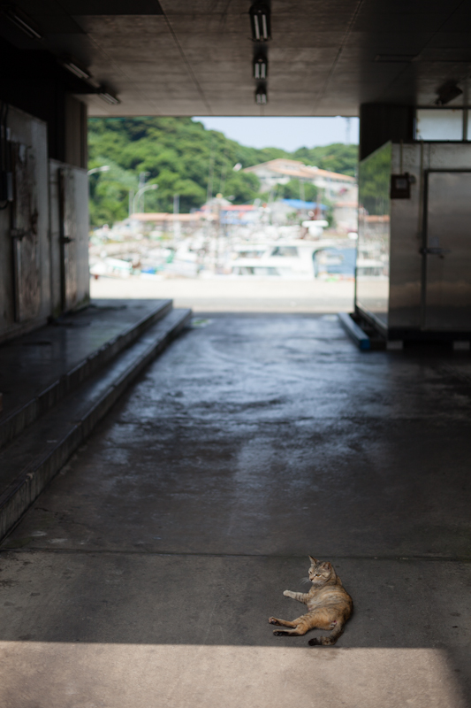 f:id:fubirai:20120824225010j:image