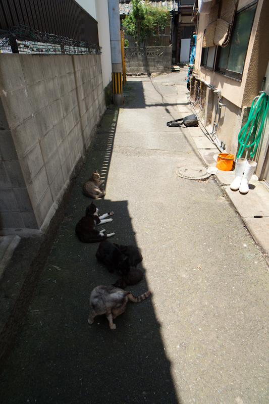 f:id:fubirai:20120907203946j:image