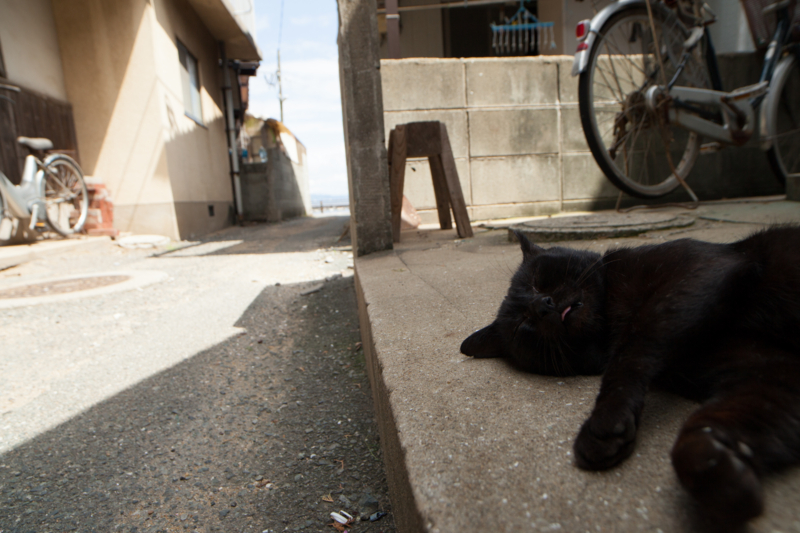 f:id:fubirai:20120908224252j:image