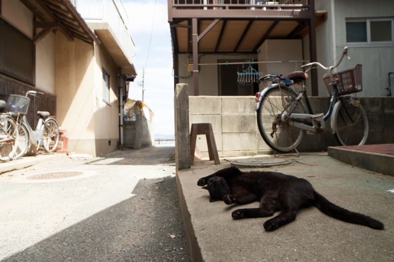 f:id:fubirai:20120908225150j:image