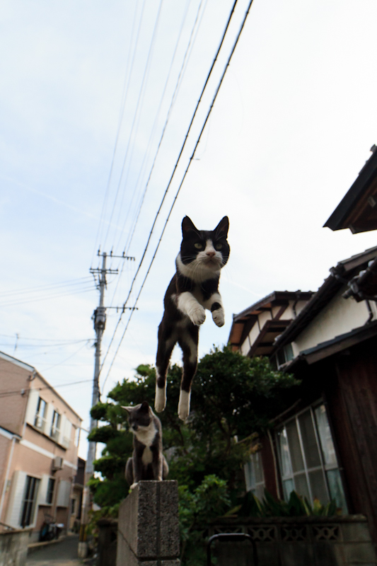 f:id:fubirai:20120921205021j:image