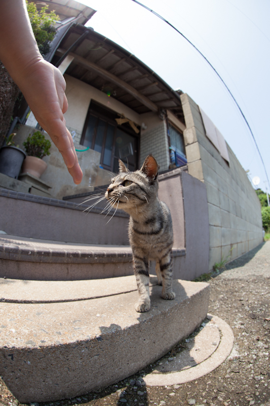 f:id:fubirai:20121001231844j:image