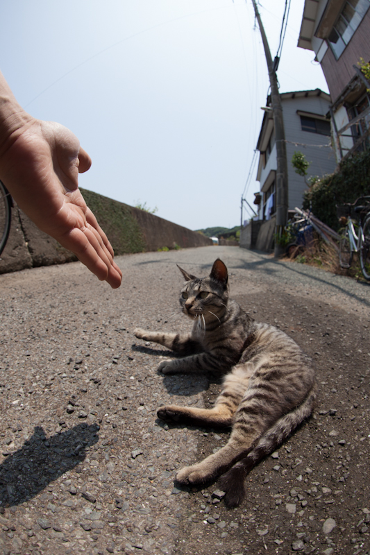 f:id:fubirai:20121001231846j:image