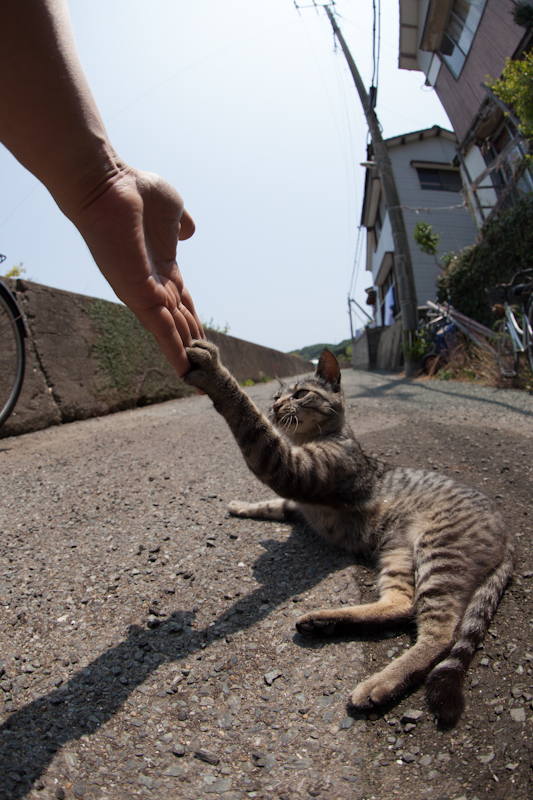 f:id:fubirai:20121001231847j:image