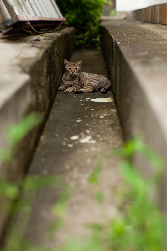 f:id:fubirai:20121005205403j:image