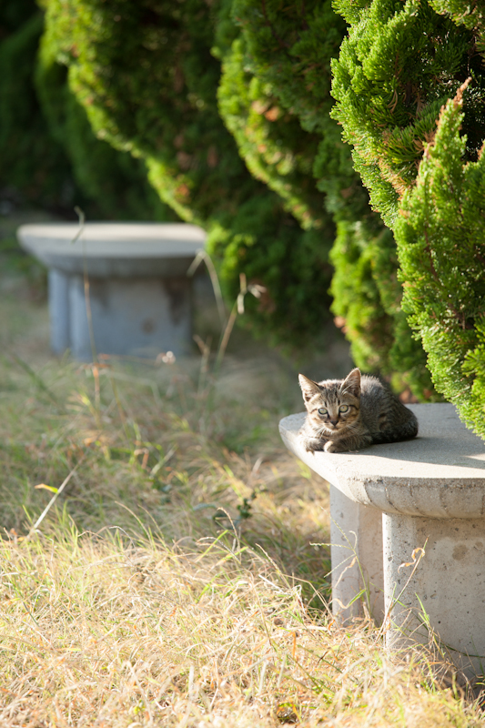 f:id:fubirai:20121013231352j:image