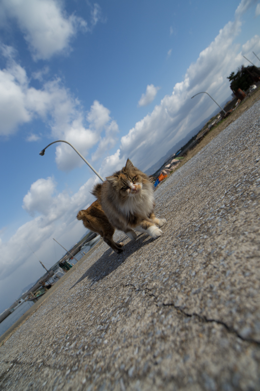 f:id:fubirai:20130214235210j:image