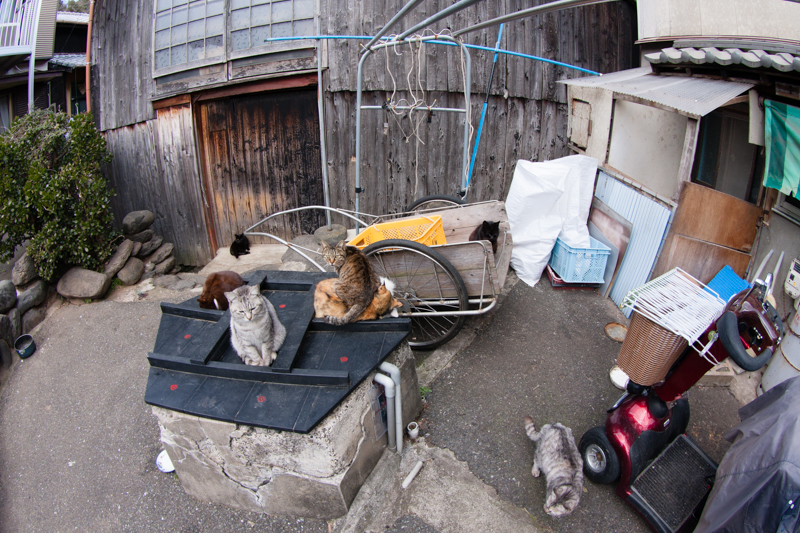 f:id:fubirai:20130218233752j:image