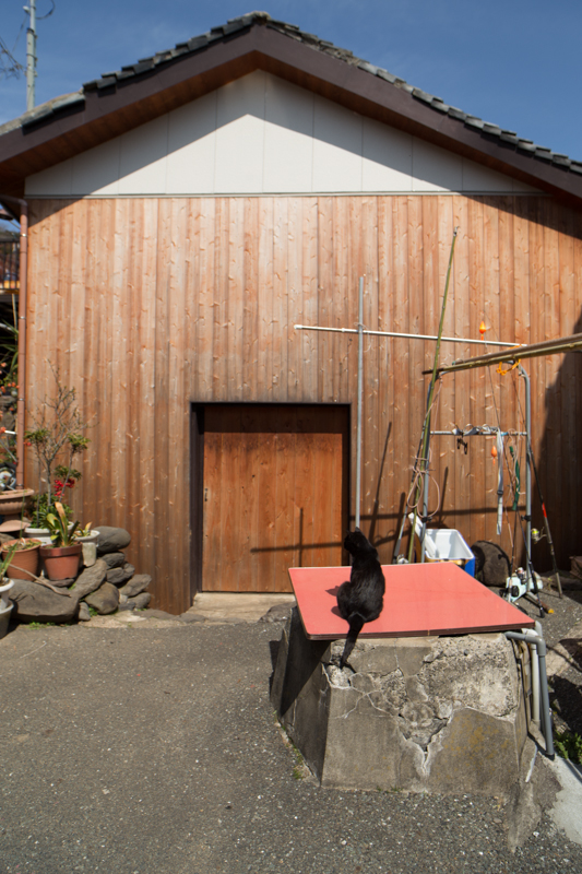 f:id:fubirai:20130312230447j:image