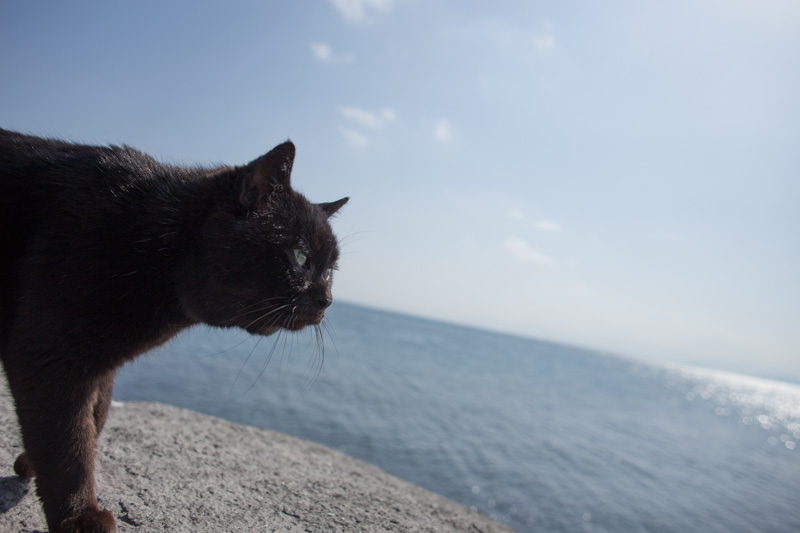 f:id:fubirai:20130419225029j:image