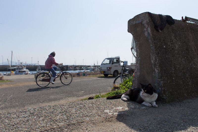 f:id:fubirai:20130419225031j:image