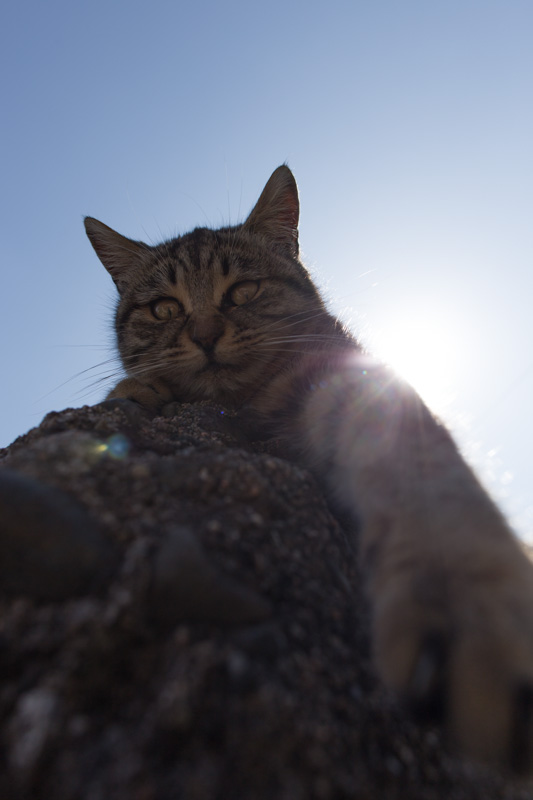 f:id:fubirai:20130419225032j:image