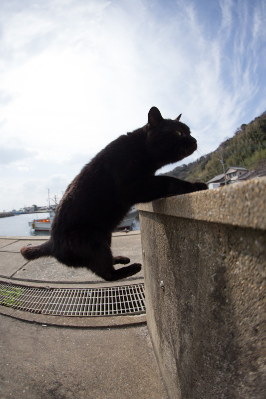 f:id:fubirai:20130501231853j:image