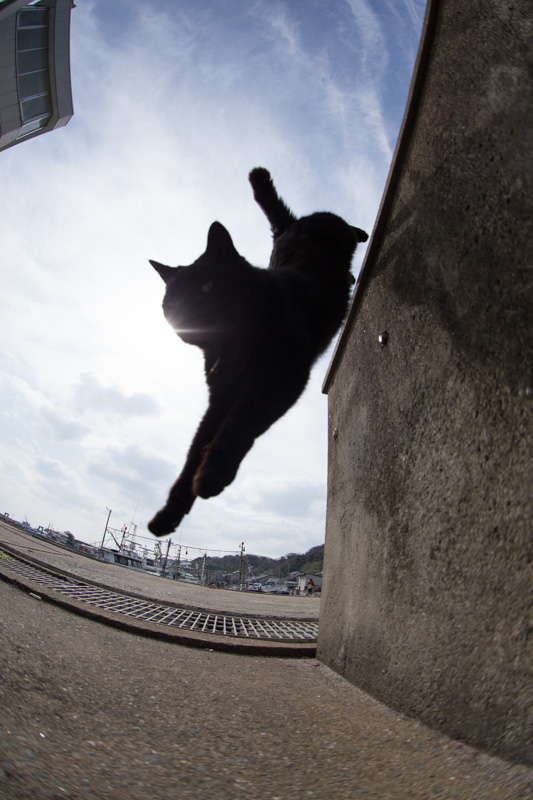 f:id:fubirai:20130501231854j:image